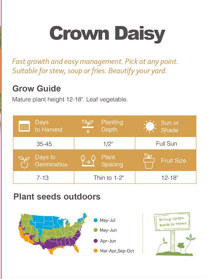 Atlas Emerald Flavor Crown Daisy Seeds Premium Non-GMO Asian Gourmet Greens
