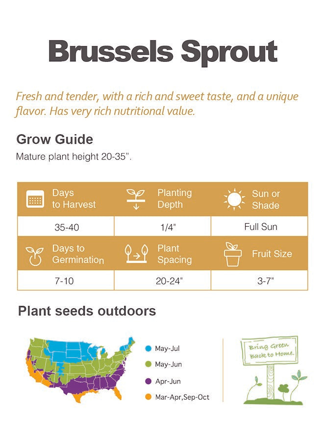 Atlas Emerald Crown Brussels Sprout Seeds Premium Non-GMO Garden Superfood
