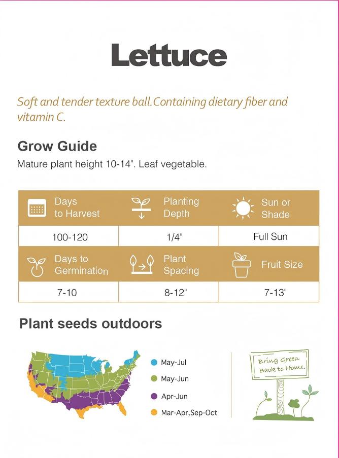 Atlas Crystal Crisp Lettuce Seeds – Premium Non-GMO Sweet Crunch Garden Salad Variety