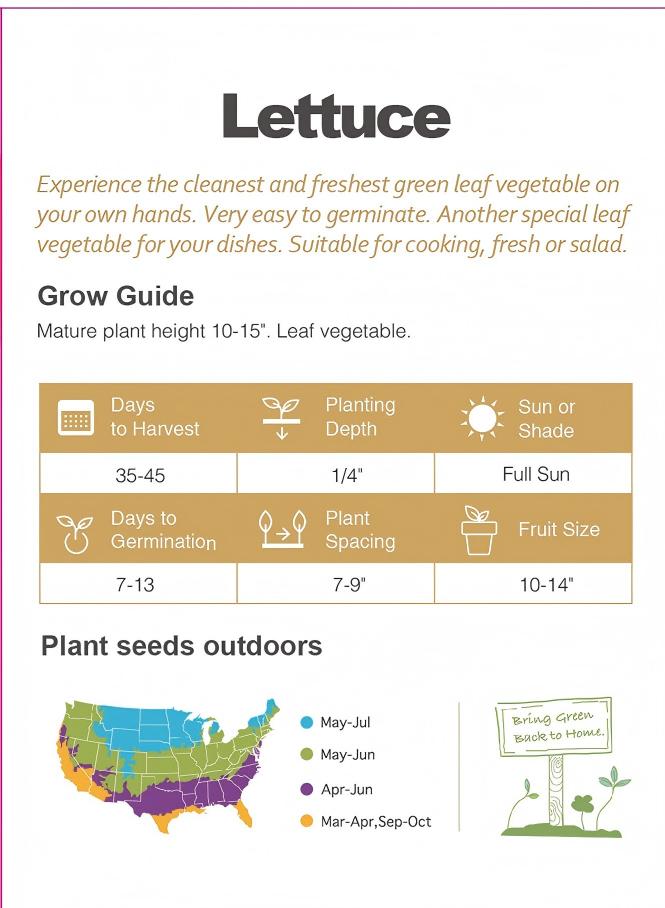 ATLAS CrispGarden Lettuce Seeds – Non-GMO Fresh Garden Salad Greens