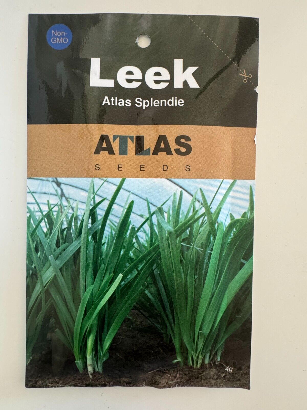 Leek seeds 500-1000pills Vegetable Seeds