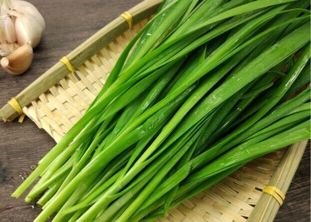 Leek seeds 500-1000pills Vegetable Seeds