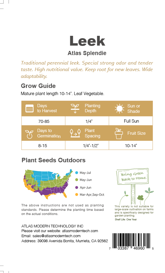 Garlic Chives Seeds 1000+ Non-GMO Fast Growing Easy Garden