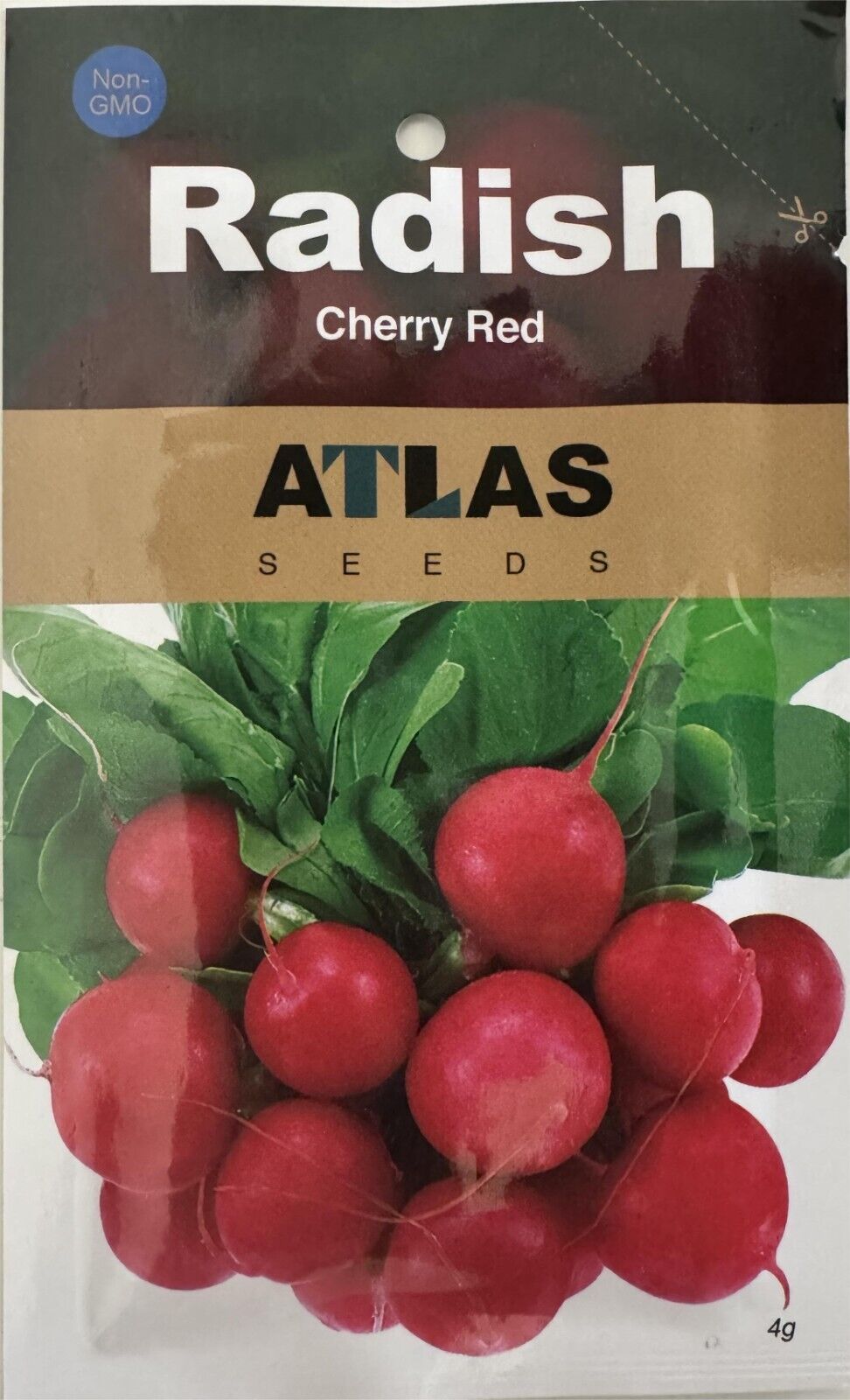 Ruby Crunch Radish Seeds 1000+ Non-GMO Fast Growing Crisp Sweet