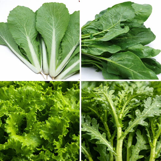 Complete Guide to Growing Leafy Greens at Home (From Seed to Harvest)