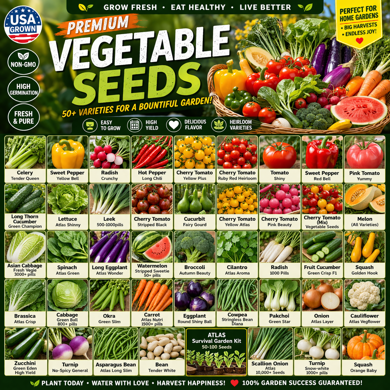 Vegetable Seeds