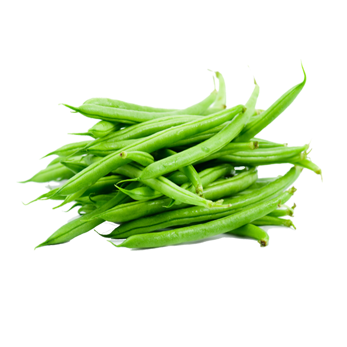 Stringless Bean Seeds