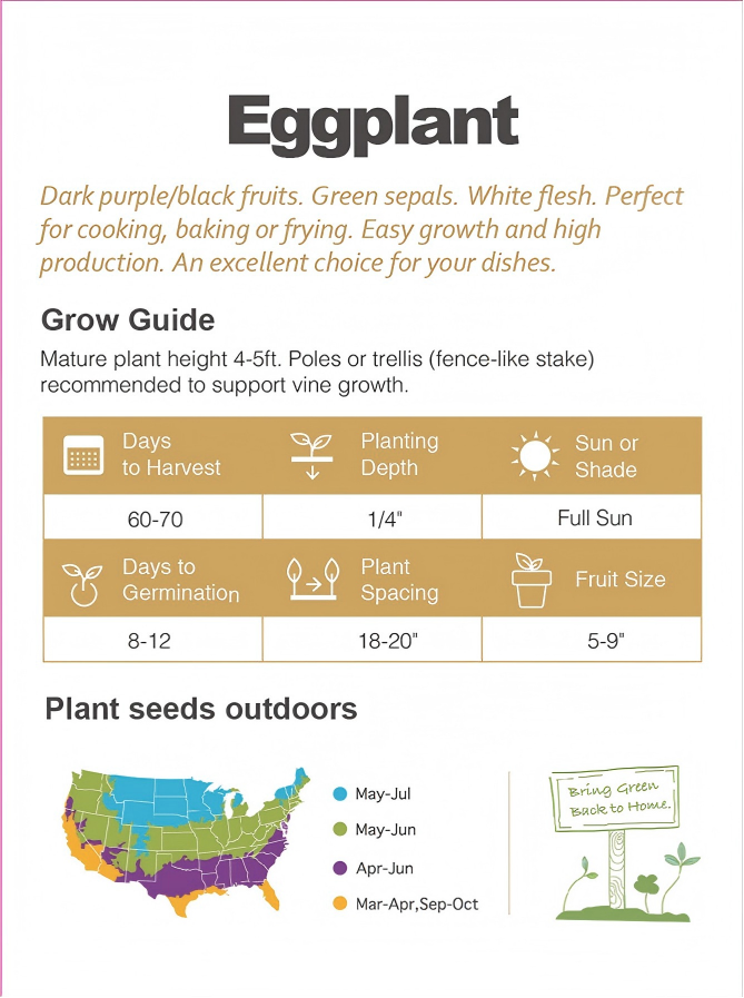 Atlas Midnight Silk Asian Eggplant Seeds – Premium Non-GMO Tender Garden Variety