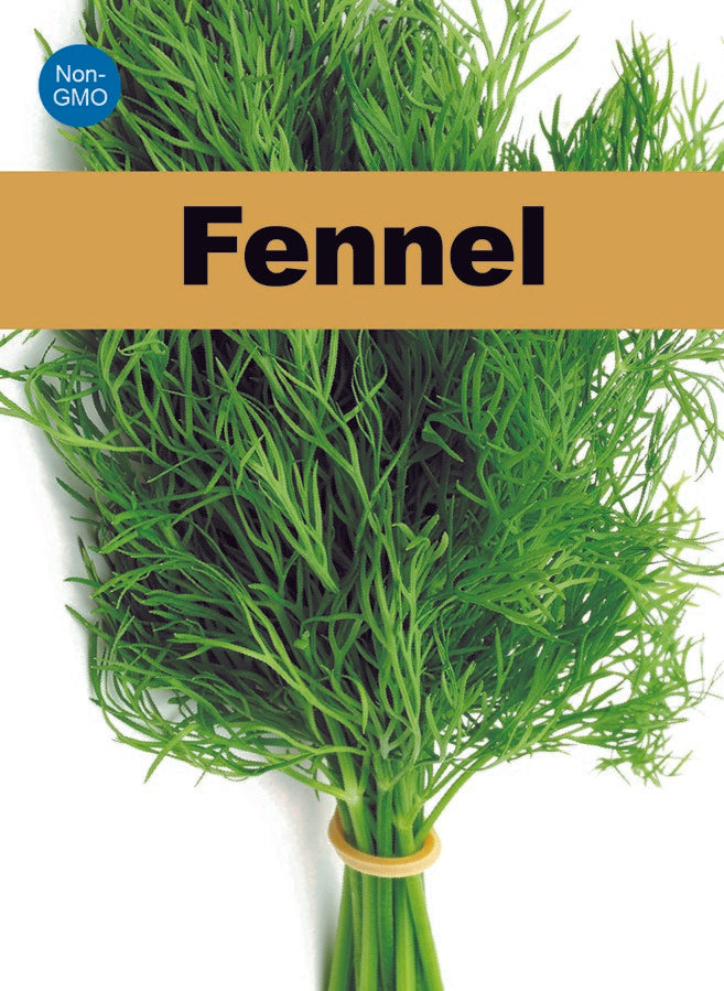 Atlas Sweet Aroma Fennel Seeds – Premium Non-GMO Gourmet Herb for Fresh Garden Flavor