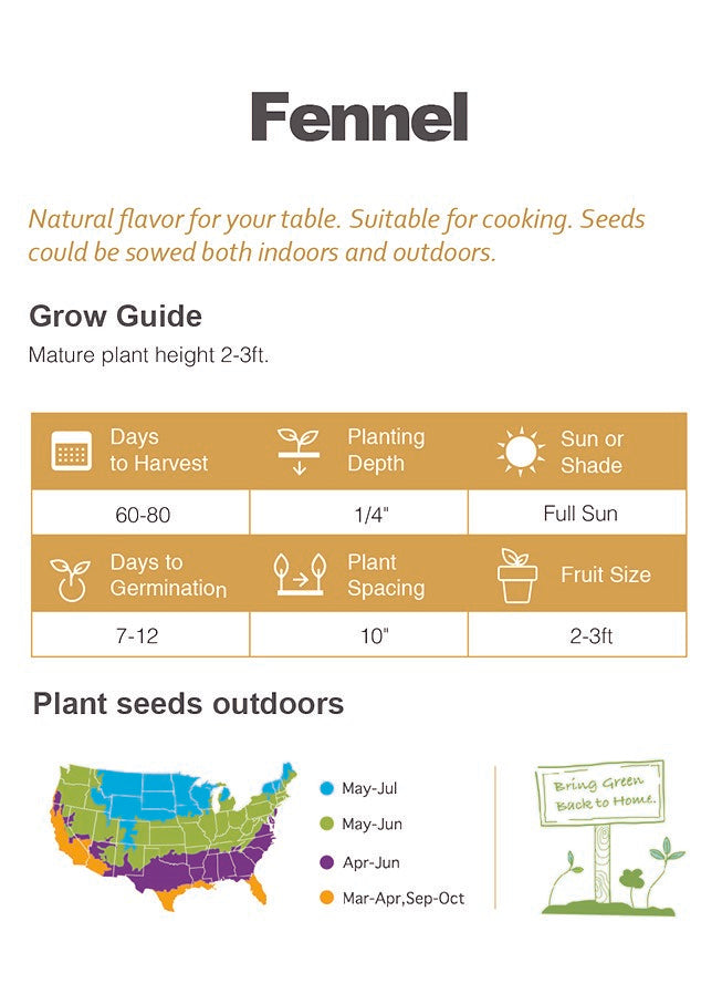 Atlas Sweet Aroma Fennel Seeds – Premium Non-GMO Gourmet Herb for Fresh Garden Flavor