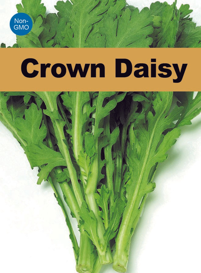 Atlas Emerald Flavor Crown Daisy Seeds  Premium Non-GMO Asian Gourmet Greens