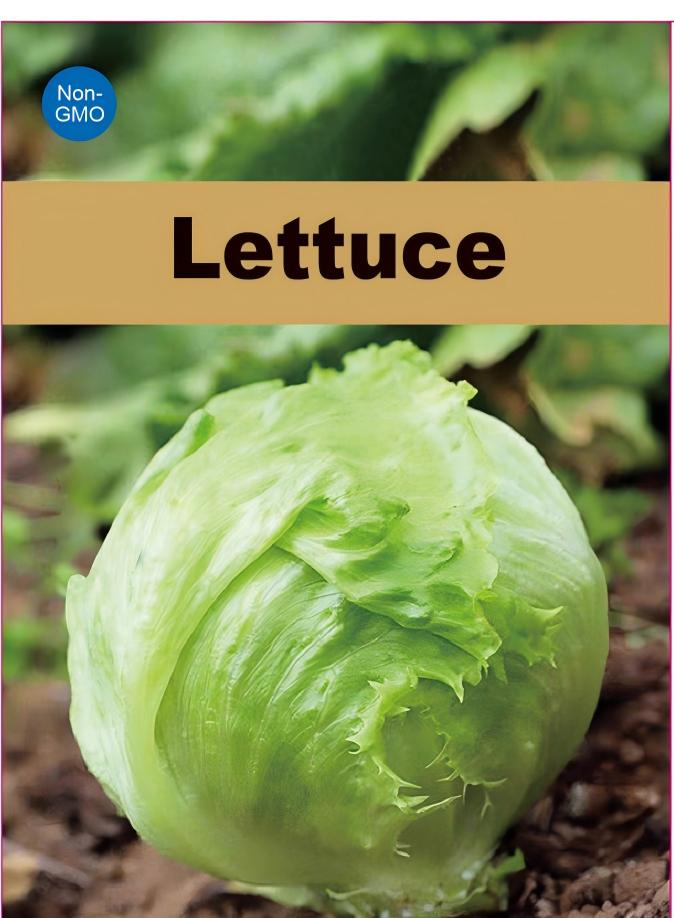 Atlas Crystal Crisp Lettuce Seeds – Premium Non-GMO Sweet Crunch Garden Salad Variety