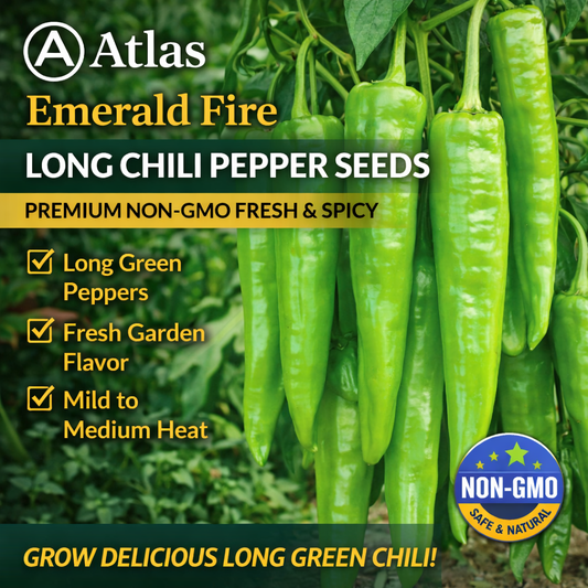 Atlas Emerald Fire Long Chili Pepper Seeds  Premium Non-GMO Garden Hot Pepper
