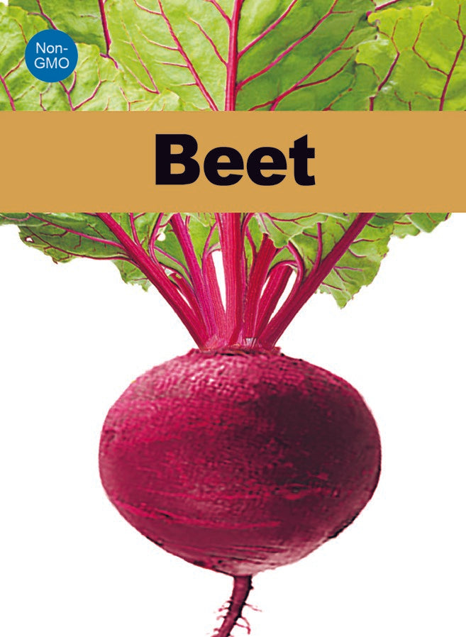 Atlas Ruby Power Beet Seeds  Premium Non-GMO Superfood Garden Beets