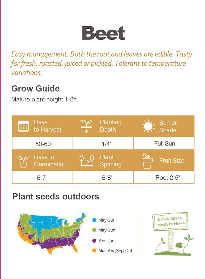 Atlas Ruby Power Beet Seeds  Premium Non-GMO Superfood Garden Beets