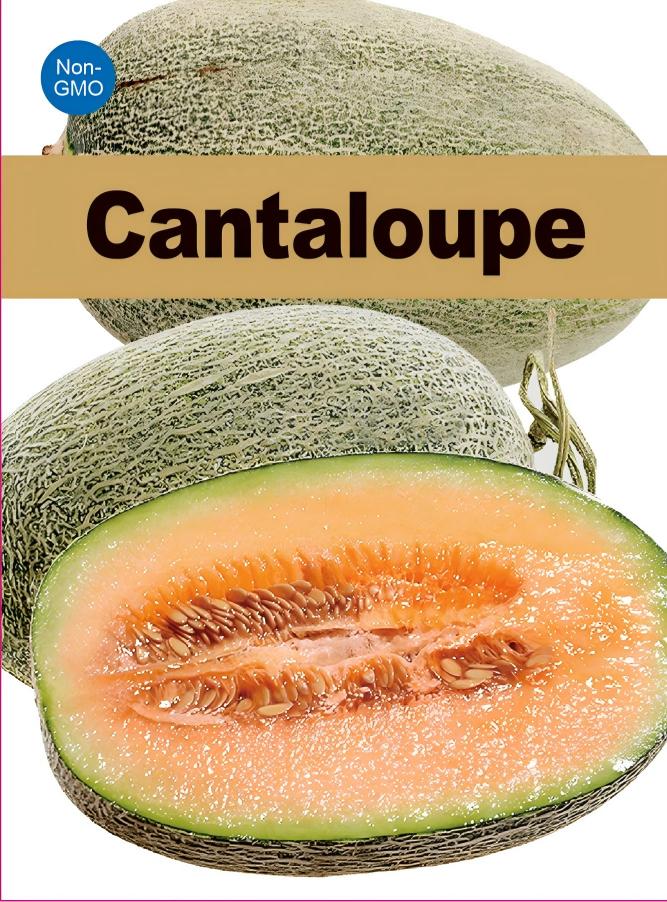 ATLAS SummerSweet Cantaloupe Seeds – Non-GMO Sweet Garden Melon