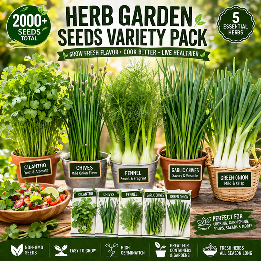 2000+ Herb Garden Seeds Variety Pack Cilantro Chives Fennel Onion Mix