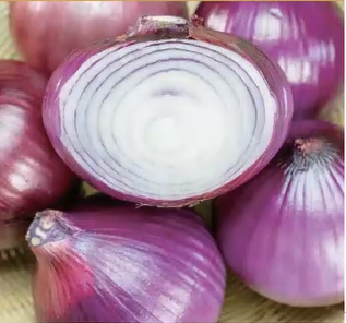 Atlas Ruby Sweet Red Onion Seeds – Non-GMO Crisp Garden Favorite