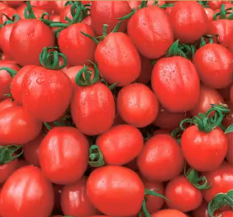 Super Sweet Pink Cherry Tomato Seeds 200+  Non-GMO Garden Snack Tomato