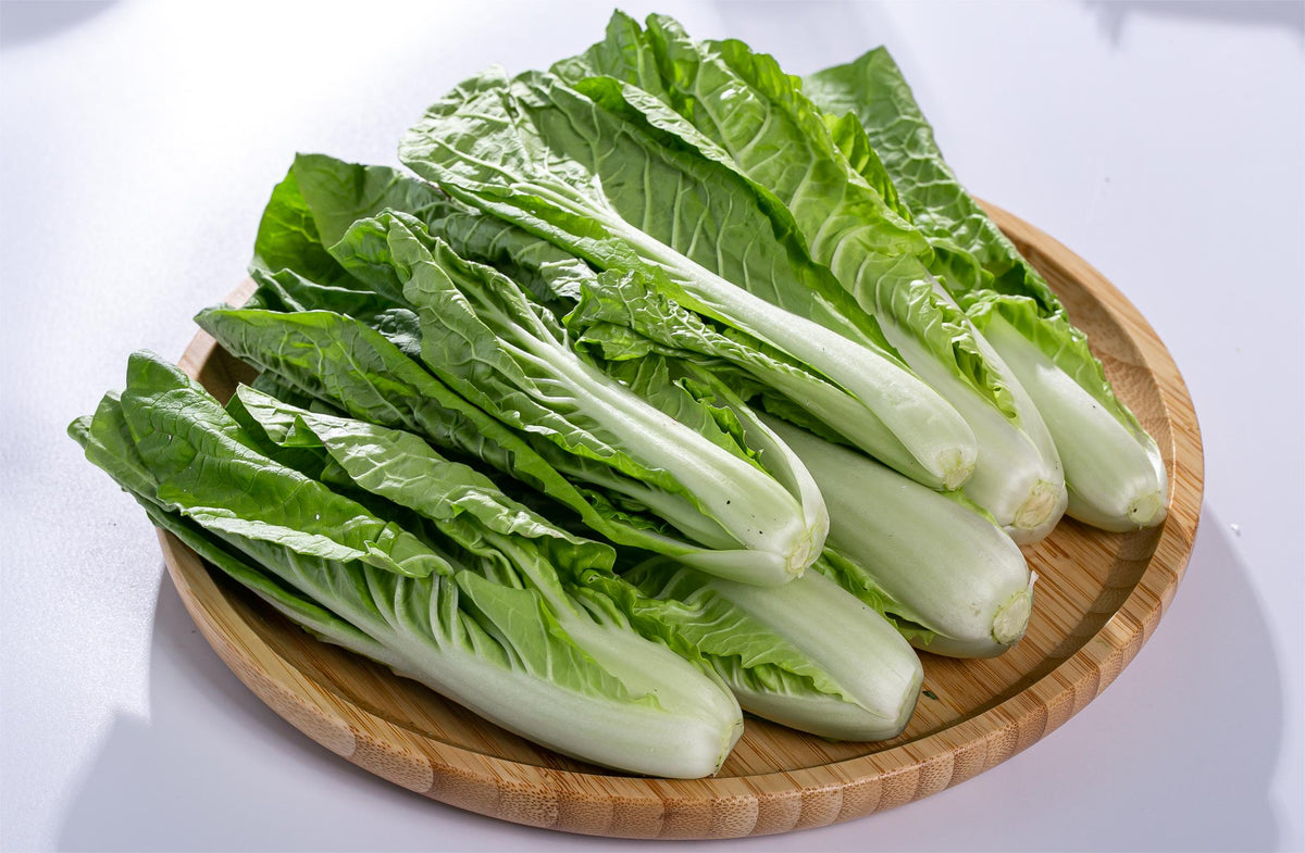 Bok Choy Seeds