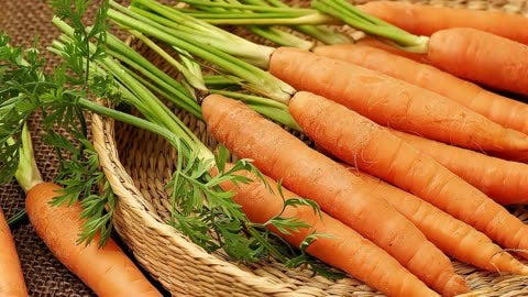 Carrot Seeds