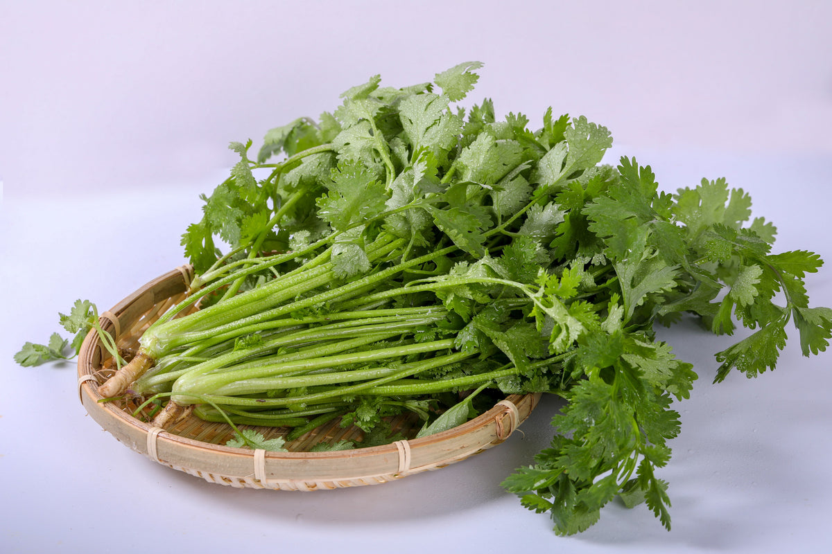Coriander Seeds