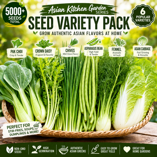 5000+ Asian Kitchen Garden Seeds Pack Non-GMO Pak Choi Chives Mix