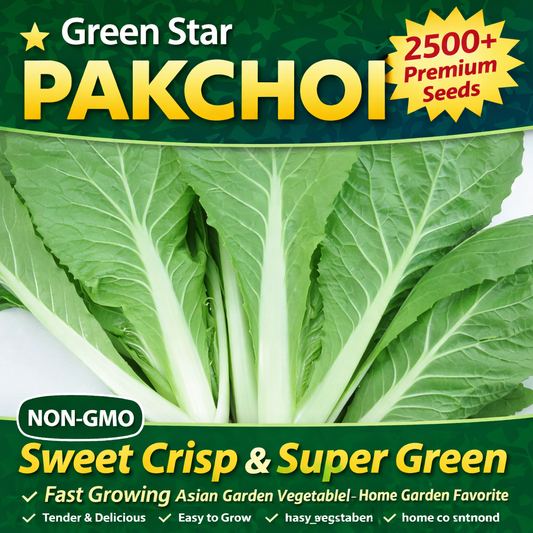 Green Star Pak Choi Seeds 3000+ Non-GMO Sweet Crisp Fast Growing High Yield