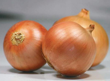 Intermediate-Day ON-024 Yellow Onion Seeds