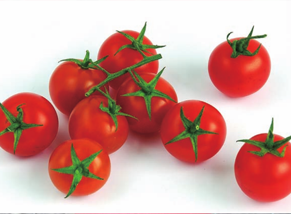 Lai De Pink Cherry Tomato Seeds