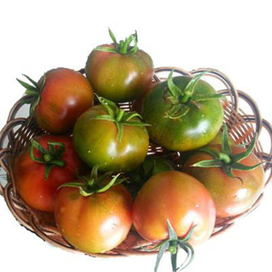 Meiya 16 Premium-Flavour Tomato Seeds