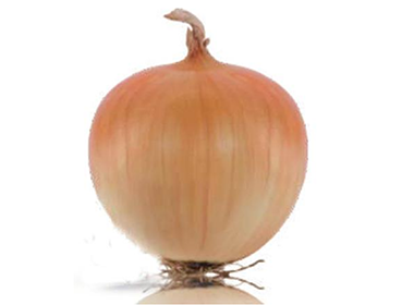 Short-Day ON-007 Yellow Onion Seeds